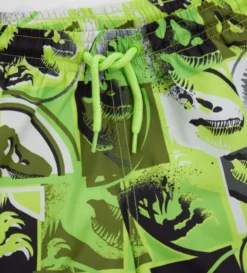 Costume Jurassic World