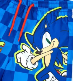 Costume sega Sonic