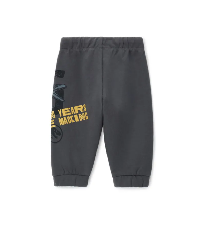 Pantaloni Jurassic World